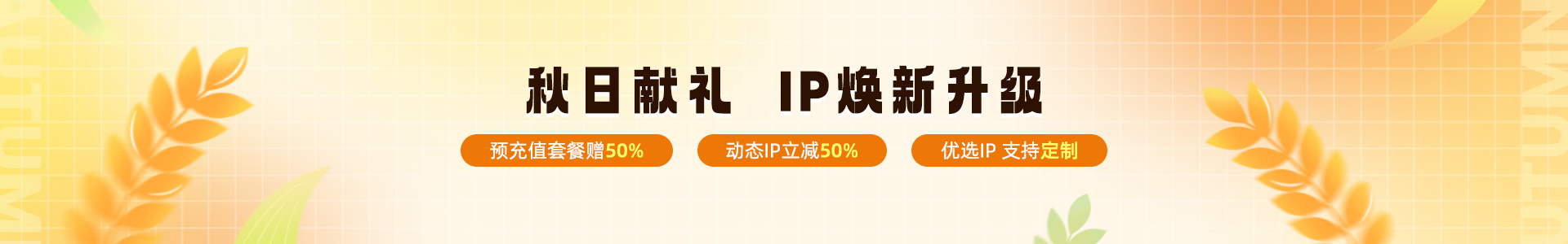 banner按钮