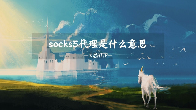 socks5代理是什么意思（socks5代理配置指南）
