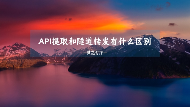 API提取和隧道转发有什么区别？应该怎样选择